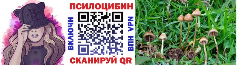 Псилоцибиновые грибы GOLDEN TEACHER  Купить где  Яранск 